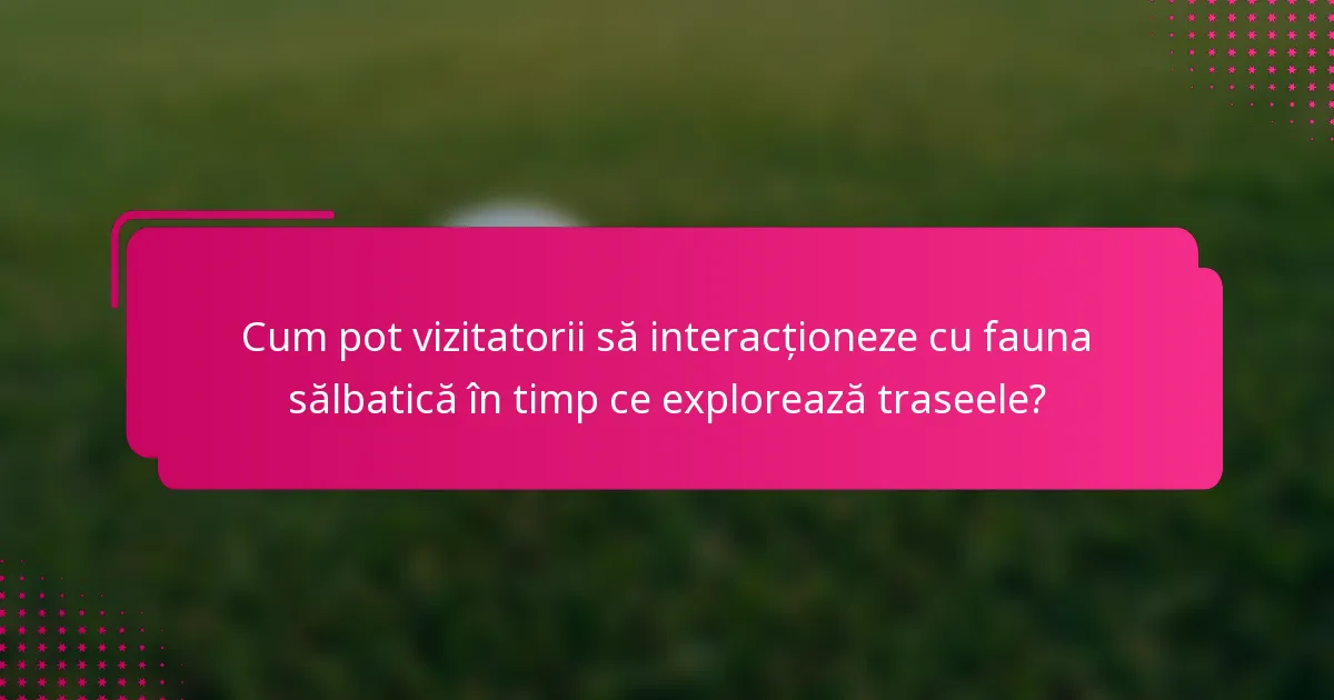 Cum pot vizitatorii să interacționeze cu fauna sălbatică în timp ce explorează traseele?